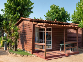 Cosy holiday home with barbecue